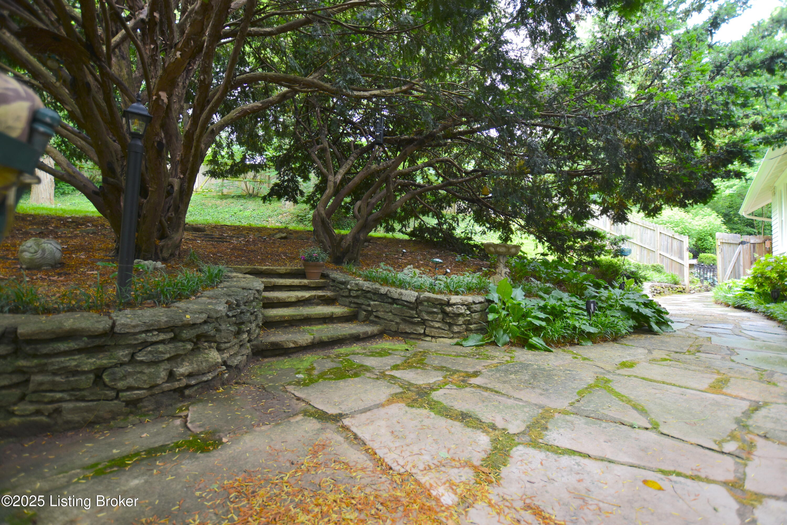505 Upland Road Louisville, KY 40206 - Photo 72 of 85 DSC_9954