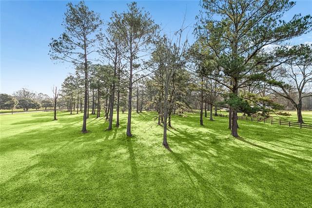 0 Hialeah Drive Bush, LA 70431 - Photo 9 of 22