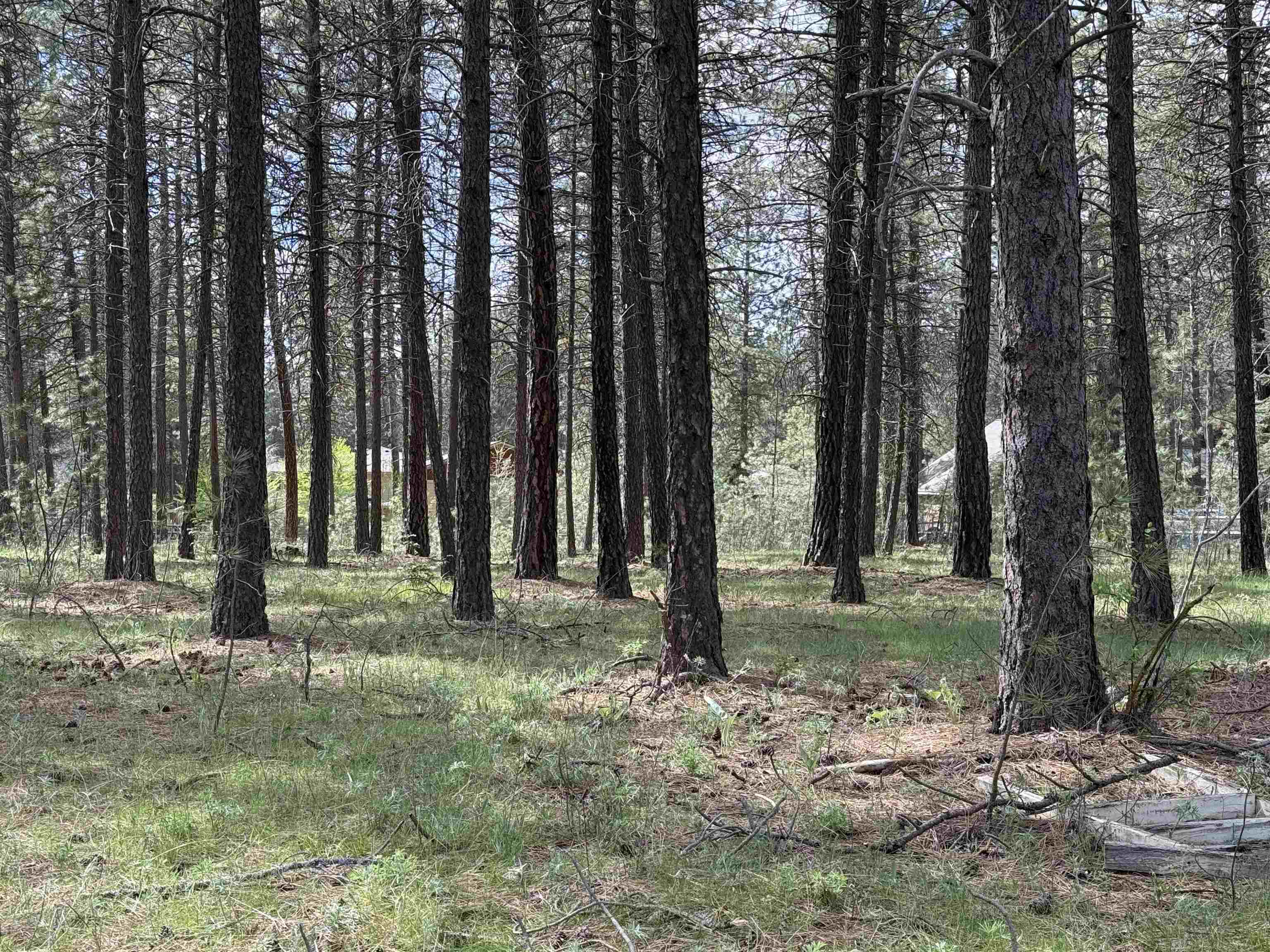 177-xx North Saddle Hill Road Colbert, WA 99005 - Photo 6 of 38