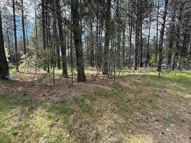 $998,500 | 177-xx North Saddle Hill Road, Colbert, WA 99005