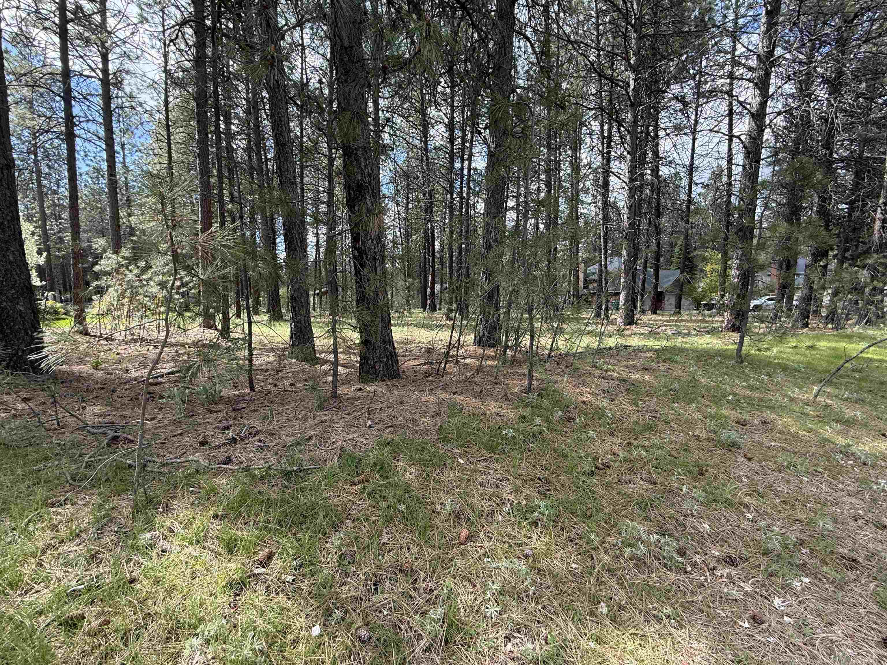 177-xx North Saddle Hill Road Colbert, WA 99005 - Photo 7 of 38