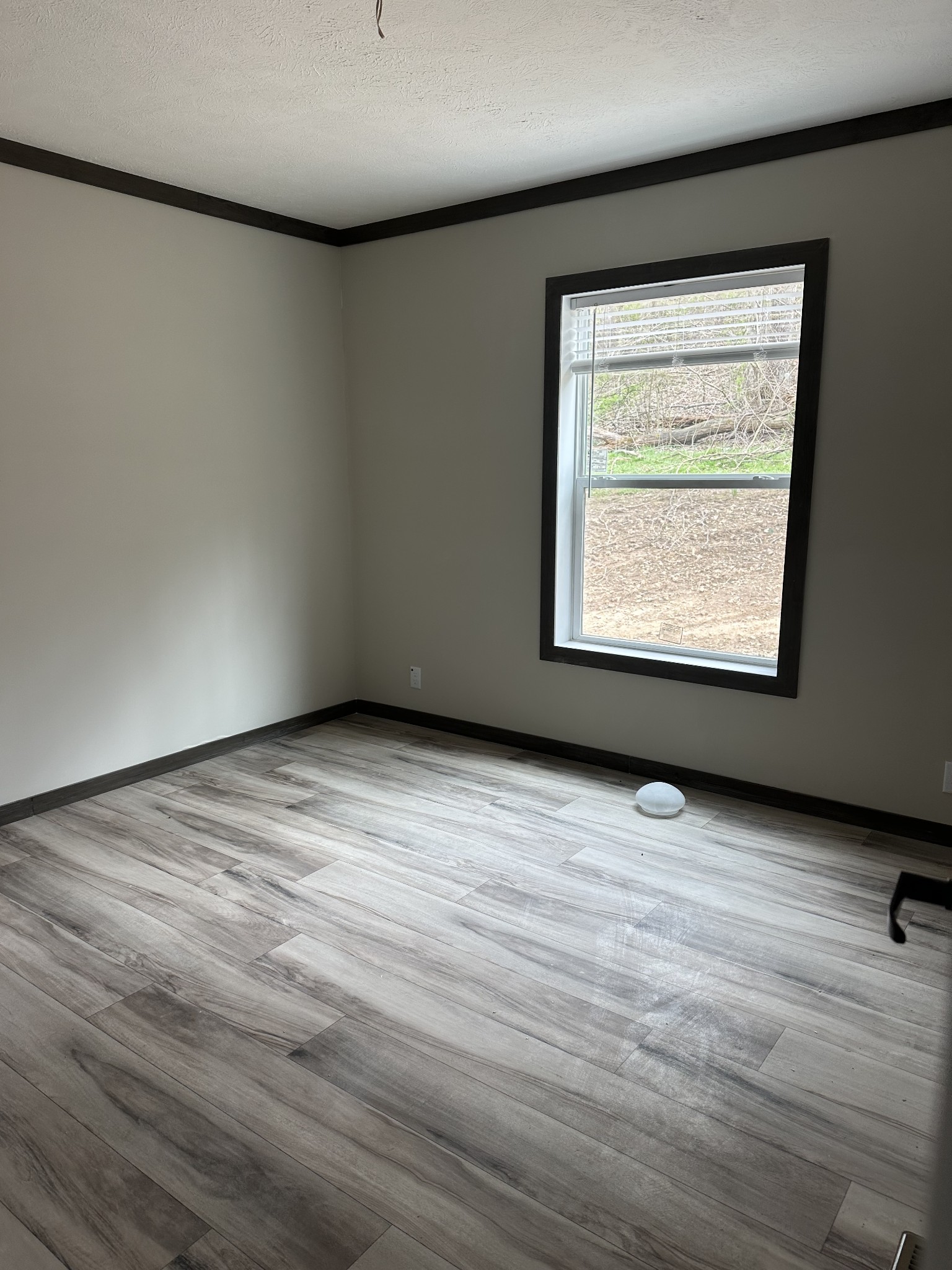 3340 Wixtown Road Westmoreland, TN 37186 - Photo 26 of 27 an empty room with a window