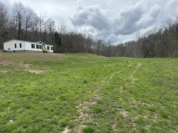 a view of a green field