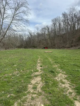 a view of outdoor space and yard