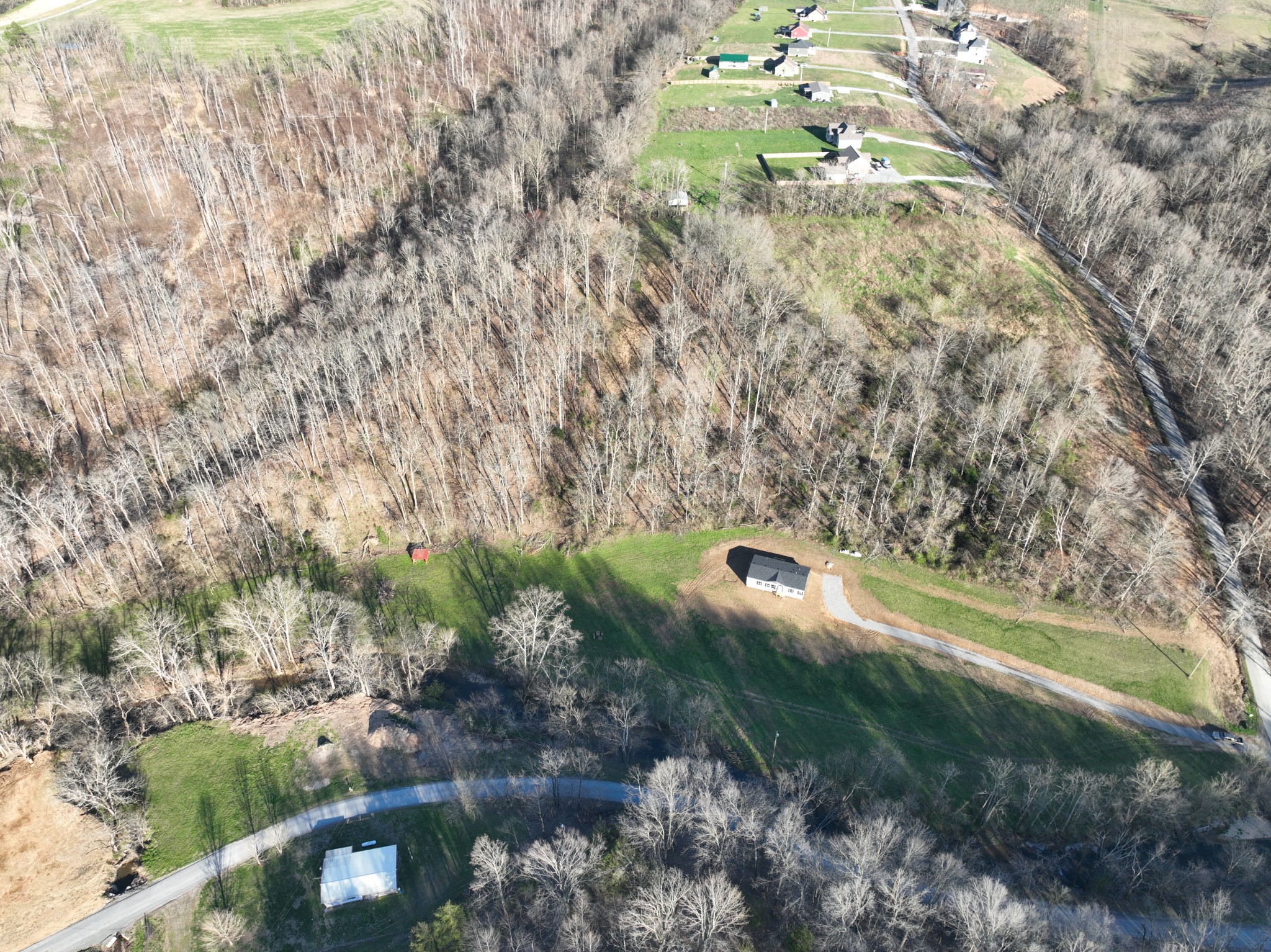 3340 Wixtown Road Westmoreland, TN 37186 - Photo 7 of 27 a view of a yard with plants and a bench