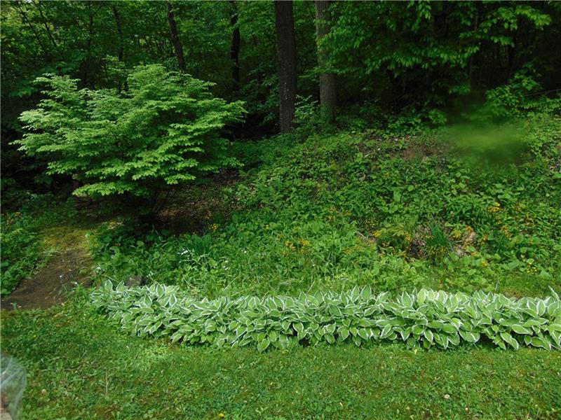 335 Four Mile Run Road Latrobe, PA 15650 - Photo 25 of 25 Gallery Image 25