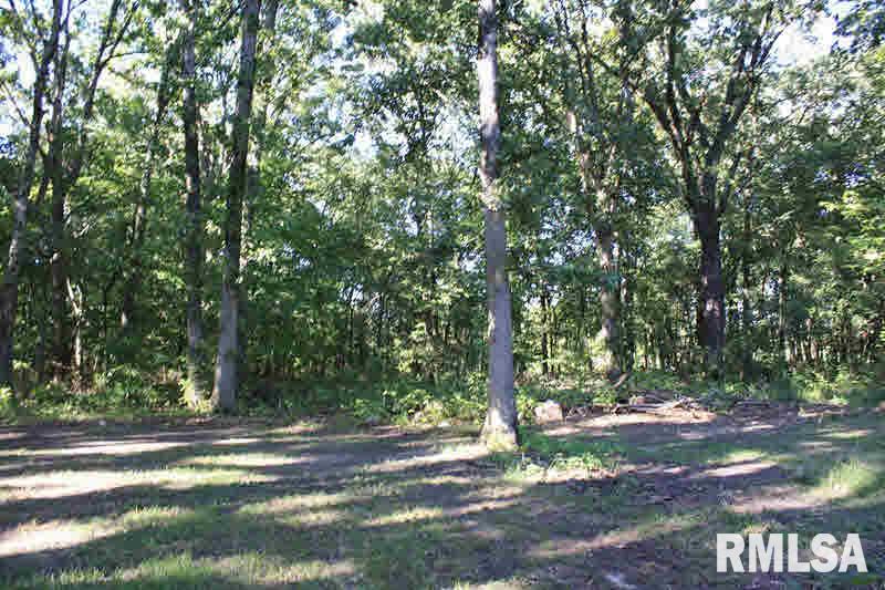 3625 Alma Hatchery Road Salem, IL 62881 - Photo 16 of 16 Gallery Image 16