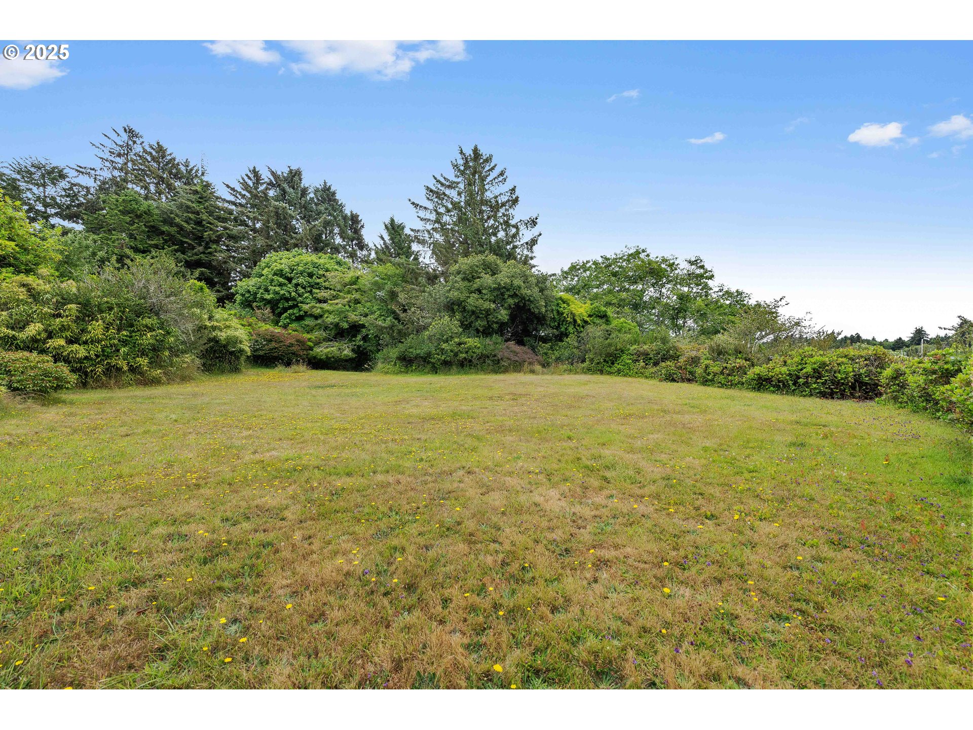 Valma Road Coos Bay, OR 97420 - Photo 5 of 15 Green Space