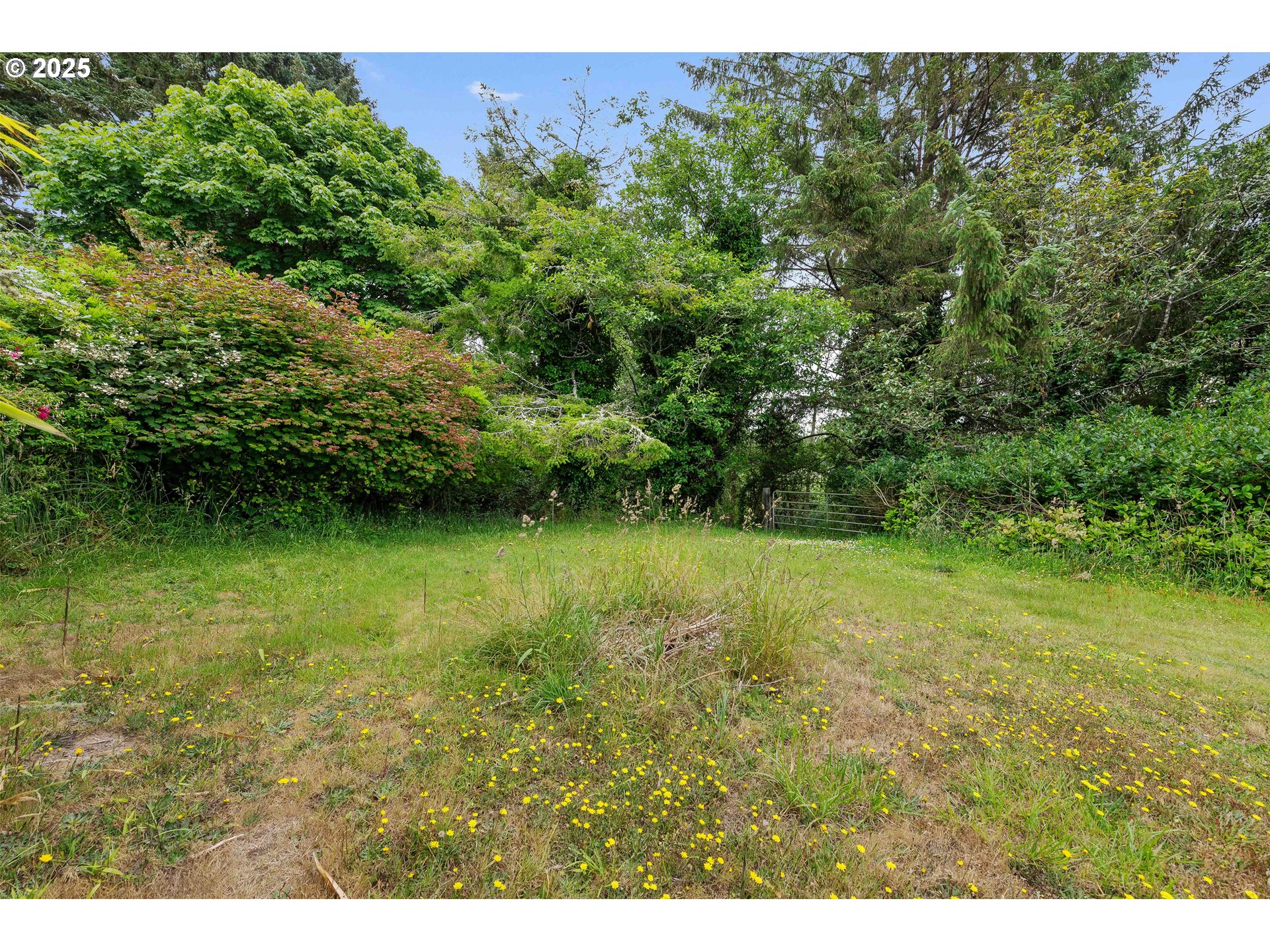 Valma Road Coos Bay, OR 97420 - Photo 7 of 15 Buildable Area