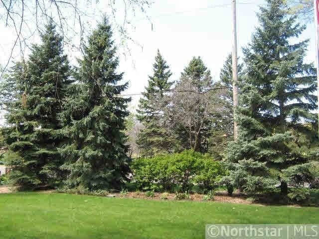 153 Blake Road South Hopkins, MN 55343 - Photo 2 of 18