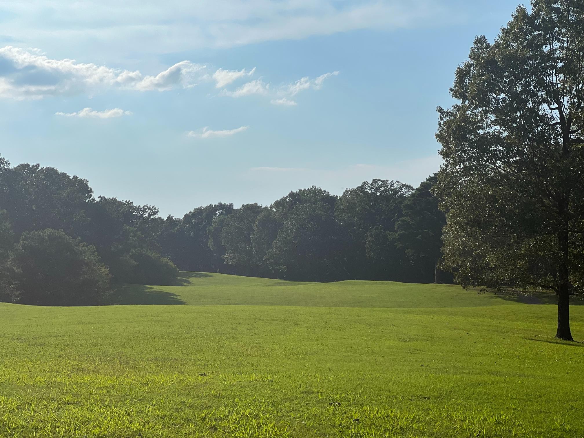 900 Olde Tennessee Trail Springville, TN 38256 - Photo 16 of 36 a view of an outdoor space and a yard