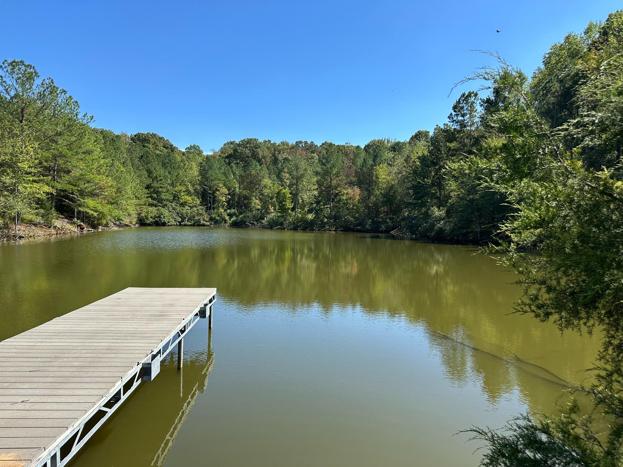 900 Olde Tennessee Trail Springville, TN 38256 - Photo 17 of 36 a view of lake