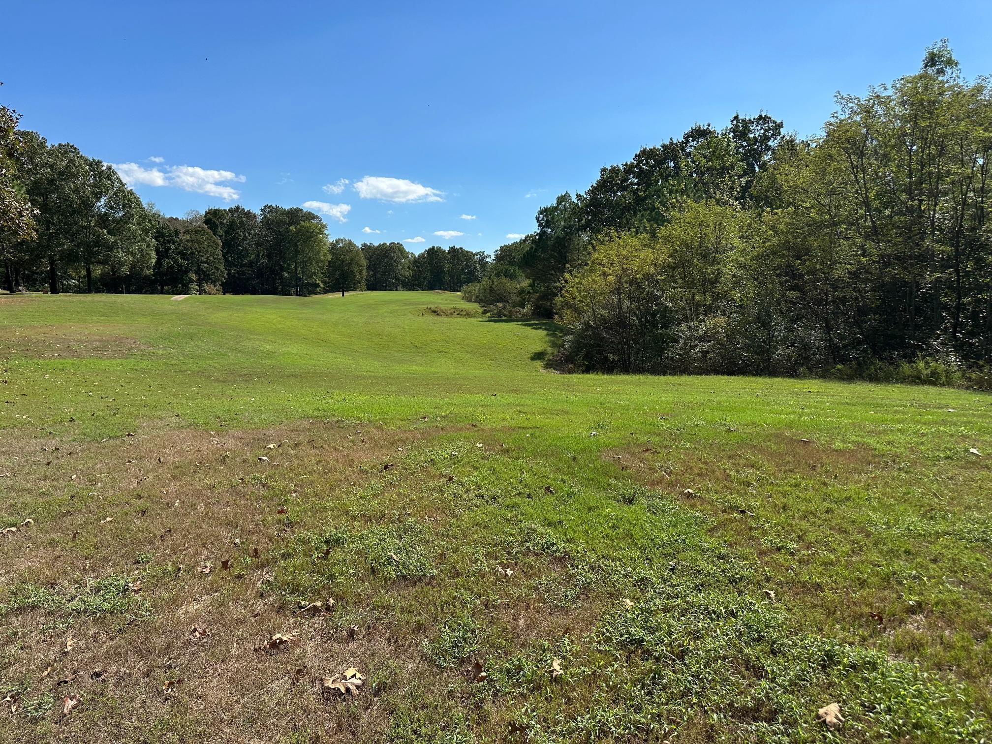 900 Olde Tennessee Trail Springville, TN 38256 - Photo 18 of 36 a view of a field with an trees
