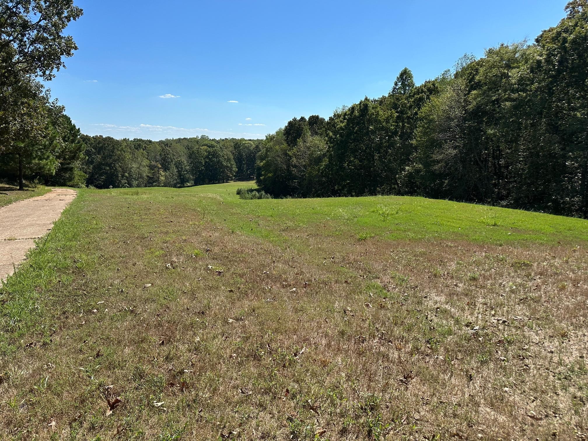 900 Olde Tennessee Trail Springville, TN 38256 - Photo 24 of 36 a view of outdoor space and yard
