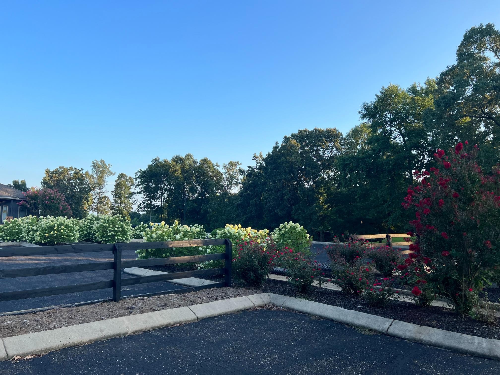 900 Olde Tennessee Trail Springville, TN 38256 - Photo 32 of 36 a street view with sitting space