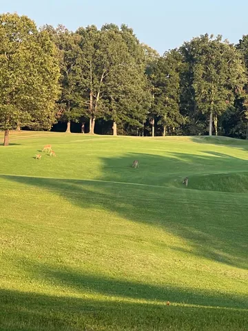 $2,640,000 | 900 Olde Tennessee Trail, Springville, TN 38256