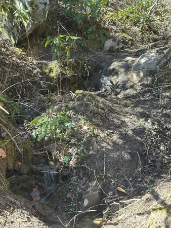 $525,000 | 12 Chigger Ridge Road, Sylva, NC 28779