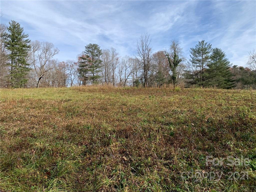 Tbd Tbd Fletcher Meadows Road Etowah, NC 28729 - Photo 3 of 10 a view of a field with trees around
