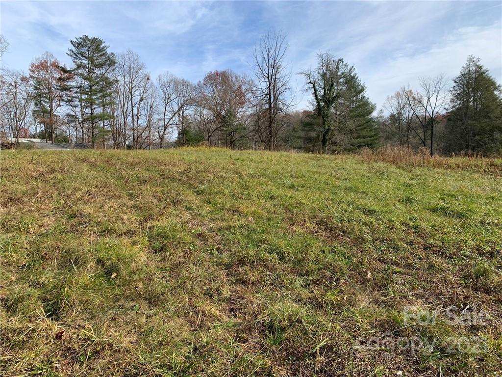 Tbd Tbd Fletcher Meadows Road Etowah, NC 28729 - Photo 7 of 10 a view of a field with trees in the background