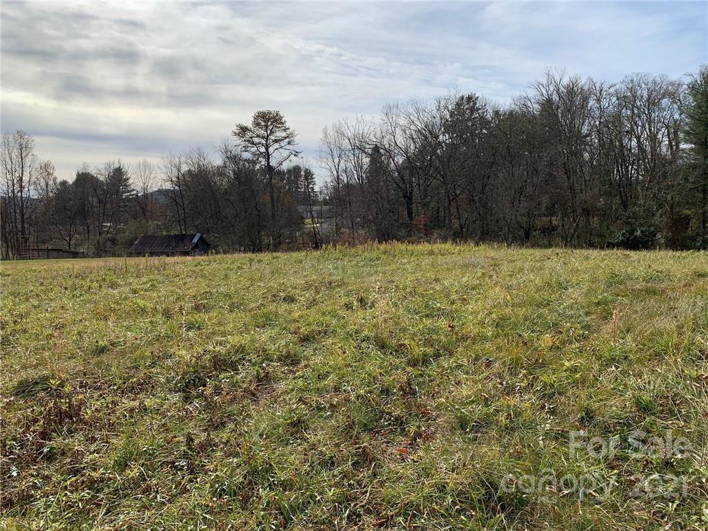 Tbd Tbd Fletcher Meadows Road Etowah, NC 28729 - Photo 8 of 10 a view of outdoor space and yard