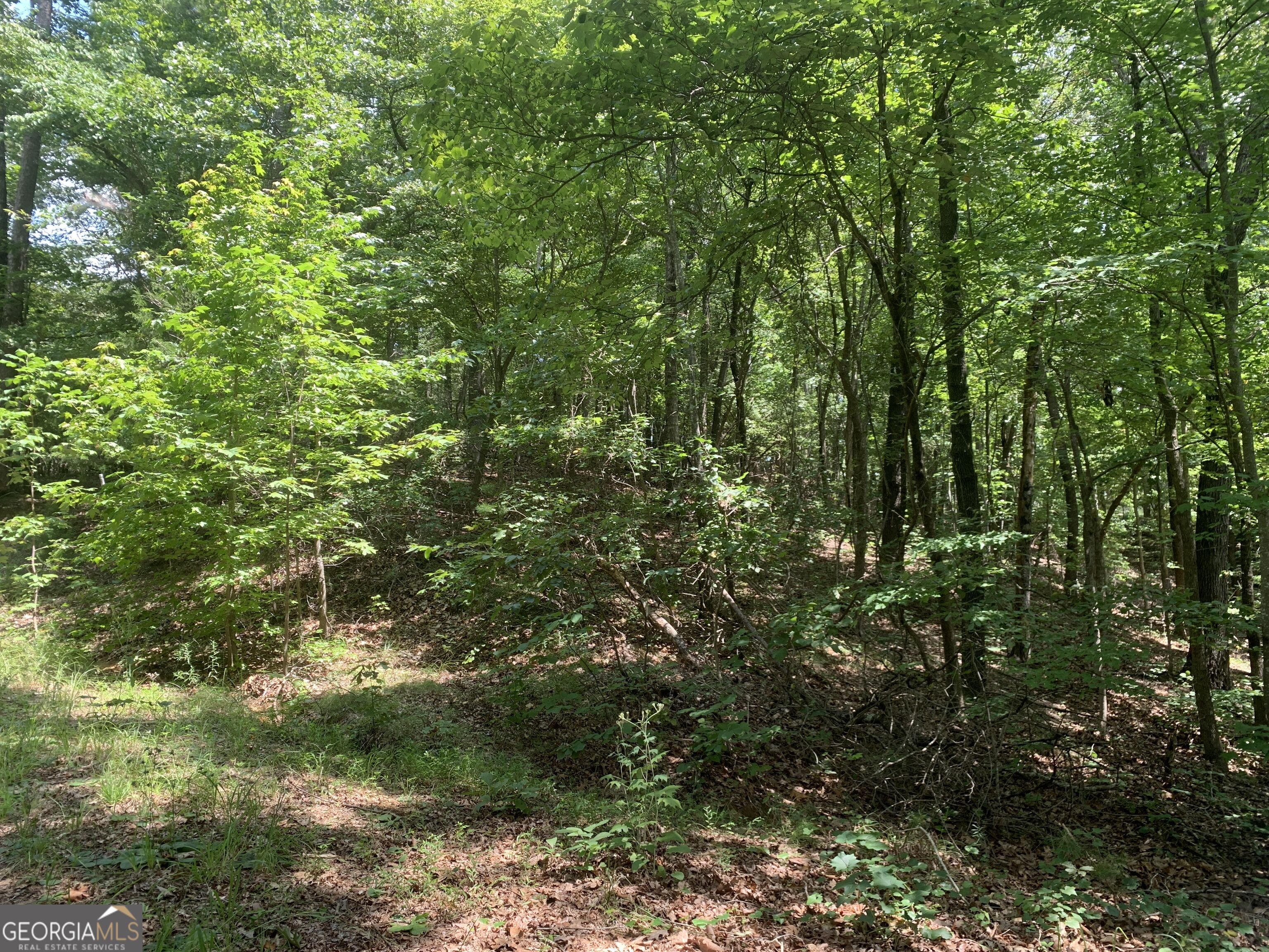 0 Grant Smith Summit Ridge Etc Toccoa, GA 30577 - Photo 4 of 28 Gallery Image 4