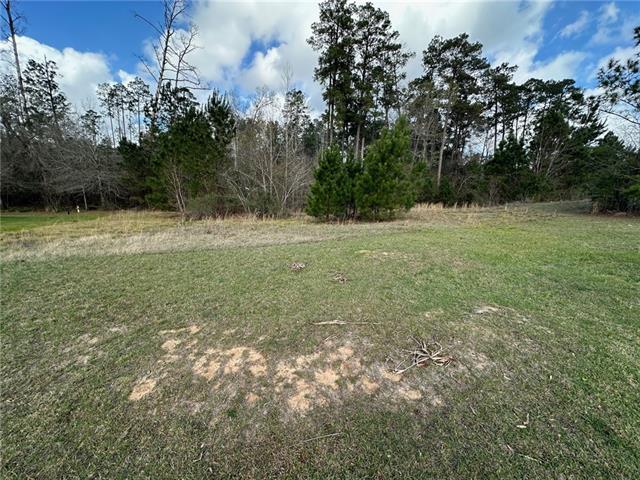 205 Chloe Road Pineville, LA 71360 - Photo 1 of 3