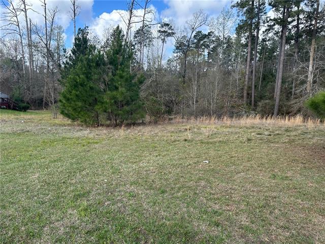 205 Chloe Road Pineville, LA 71360 - Photo 2 of 3