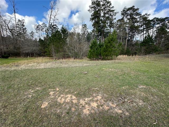 205 Chloe Road Pineville, LA 71360 - Photo 3 of 3