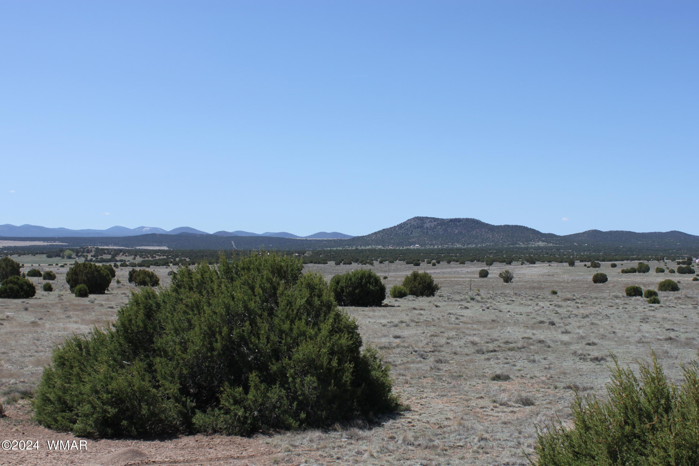 9.22 Acres Concho, AZ 85924 - Photo 12 of 13 IMG_6455
