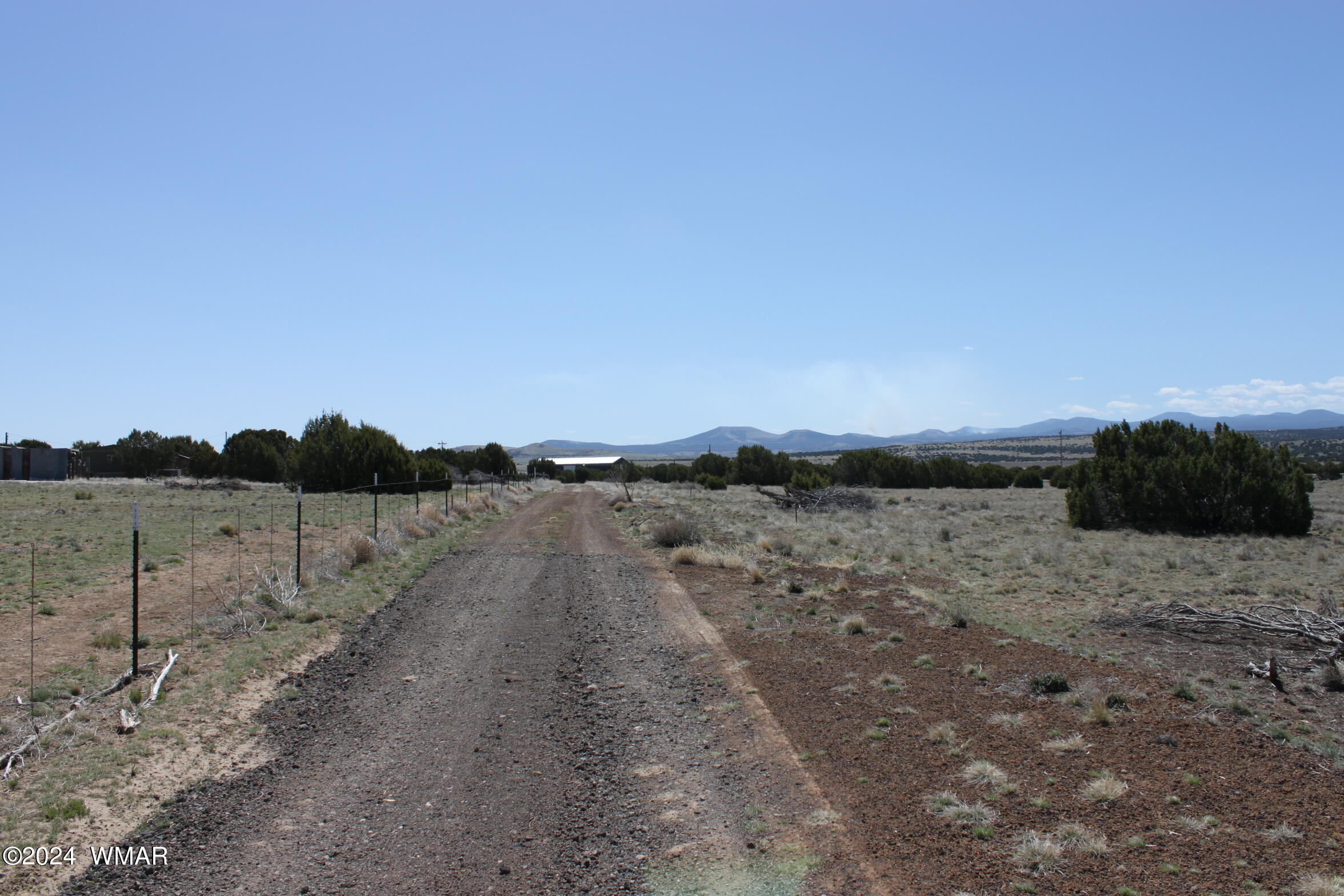 9.22 Acres Concho, AZ 85924 - Photo 13 of 13 IMG_6460
