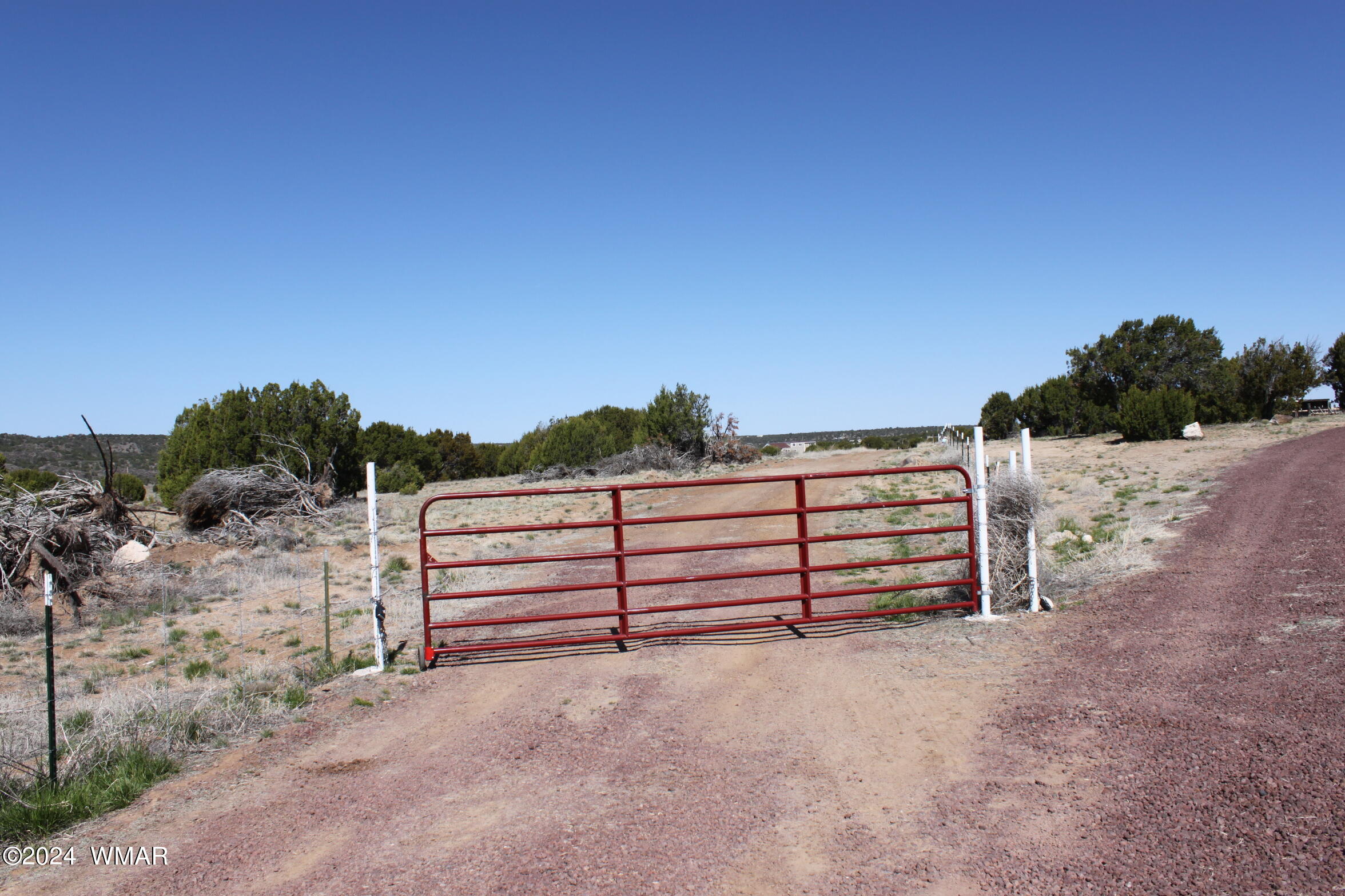 9.22 Acres Concho, AZ 85924 - Photo 3 of 13 IMG_6410
