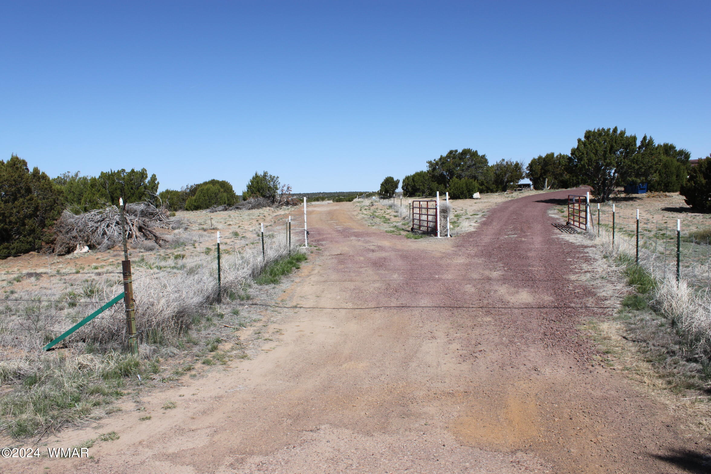 9.22 Acres Concho, AZ 85924 - Photo 4 of 13 IMG_6406