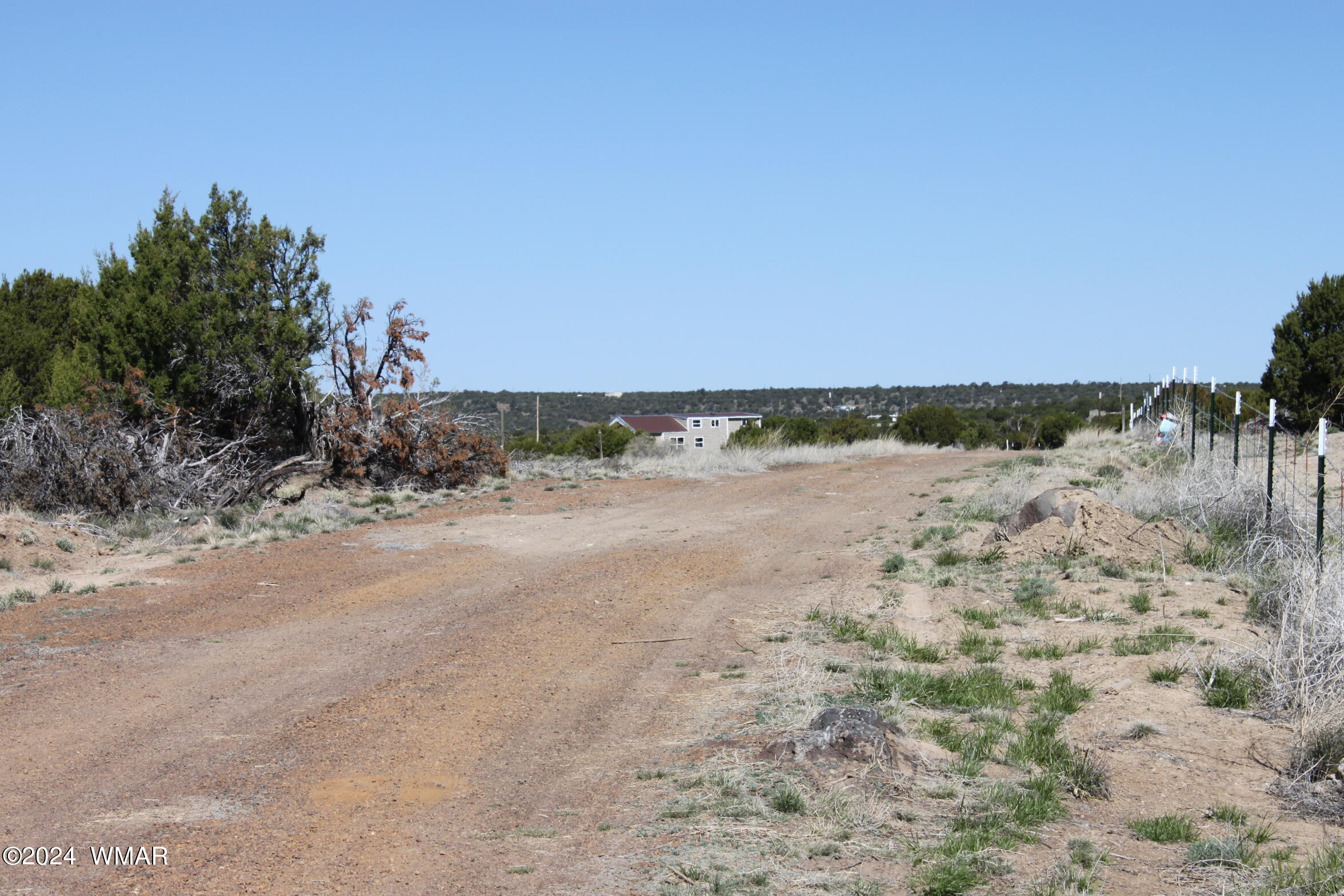 9.22 Acres Concho, AZ 85924 - Photo 5 of 13 IMG_6408