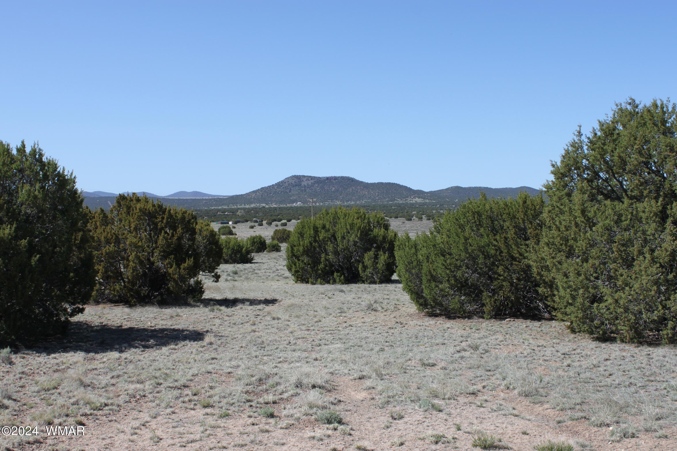 9.22 Acres Concho, AZ 85924 - Photo 7 of 13 IMG_6414