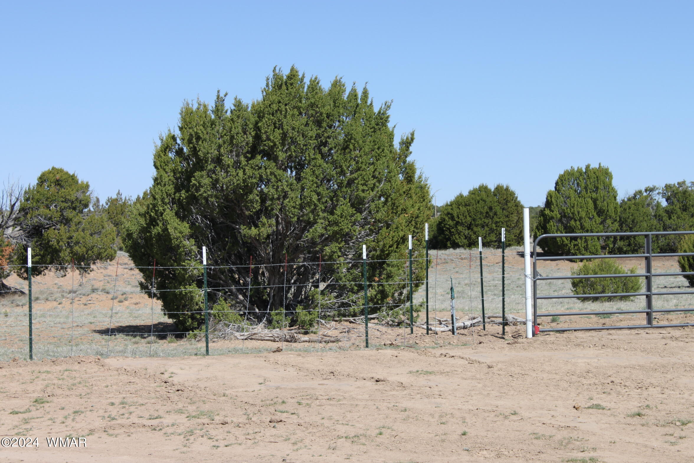 9.22 Acres Concho, AZ 85924 - Photo 8 of 13 IMG_6417