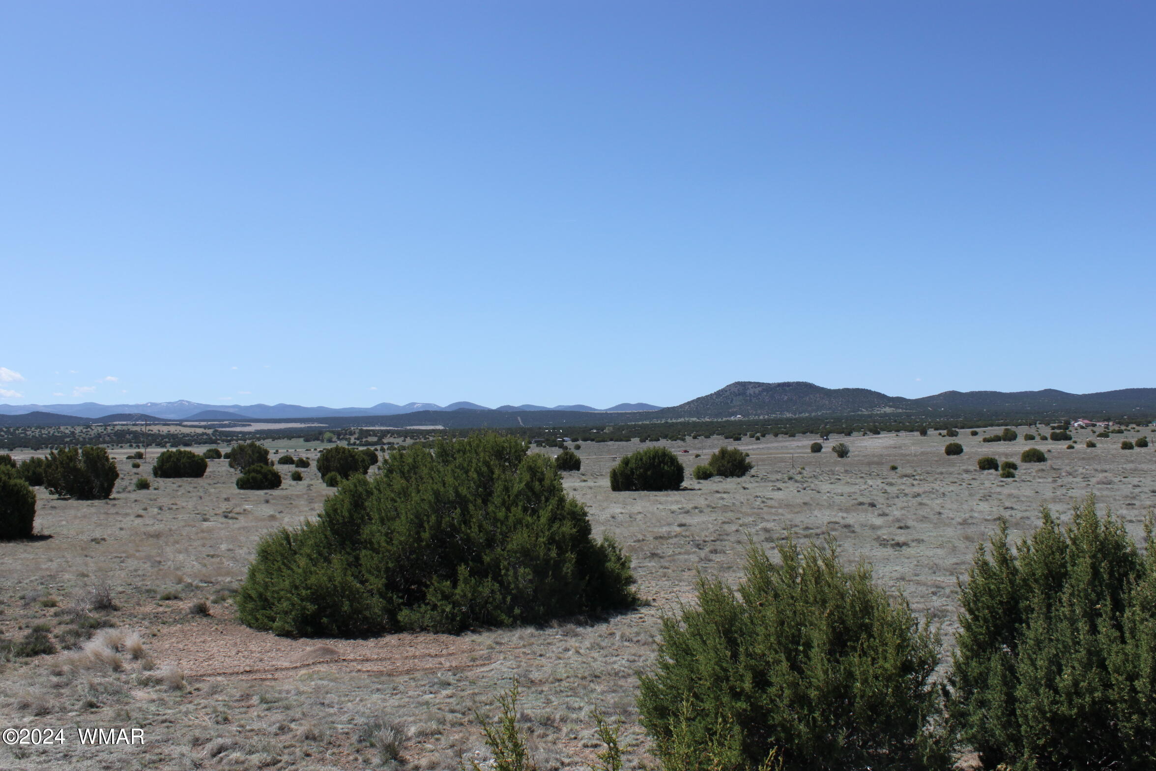 9.22 Acres Concho, AZ 85924 - Photo 10 of 13 IMG_6453