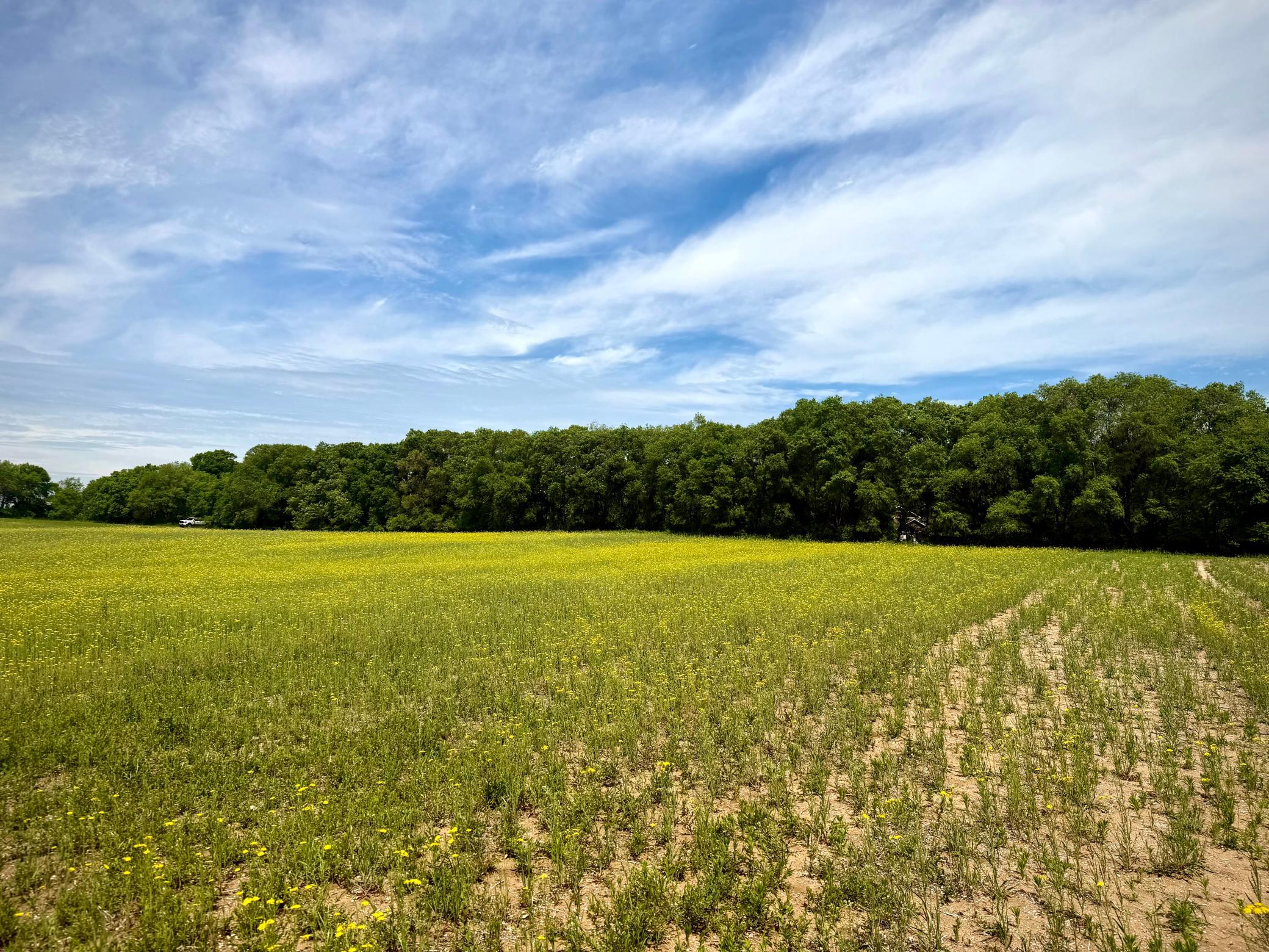 Tbd-10-ac 87th Street Southeast Becker, MN 55308 - Photo 13 of 23