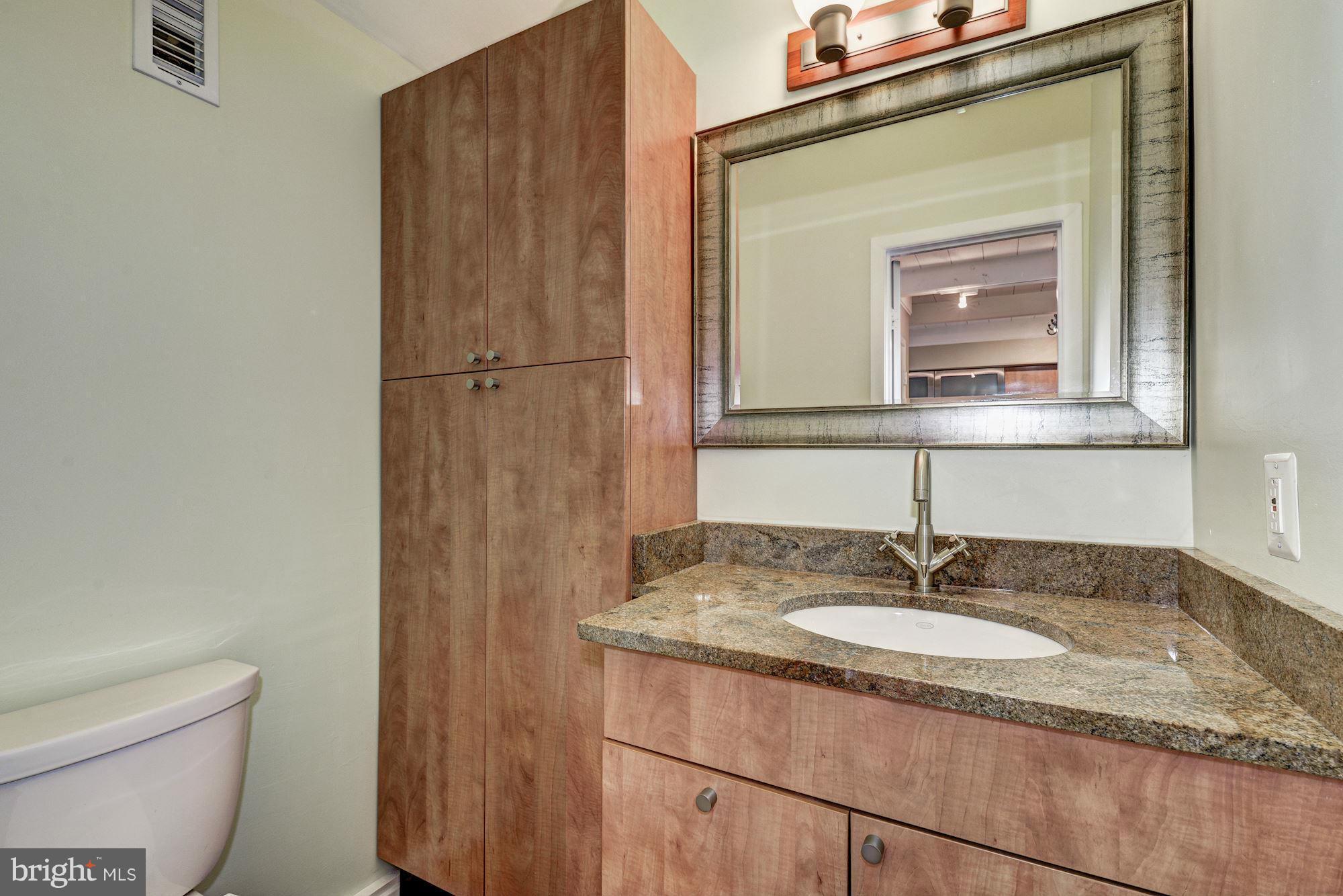 11141 Timberhead Court Reston, VA 20191 - Photo 15 of 30 Updated bath on main level