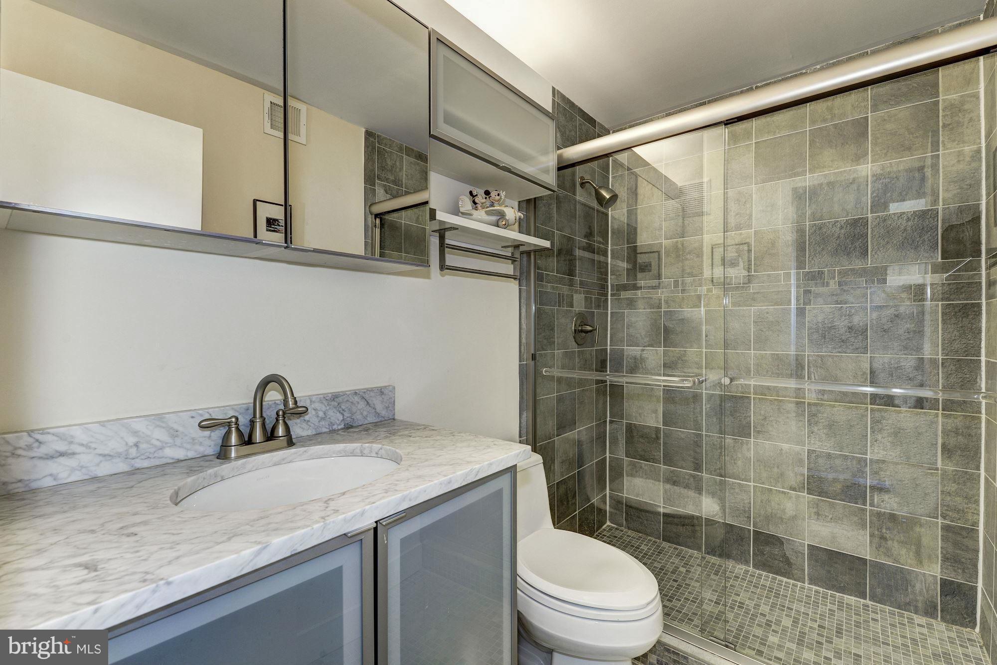 11141 Timberhead Court Reston, VA 20191 - Photo 20 of 30 Updated Hall Bath