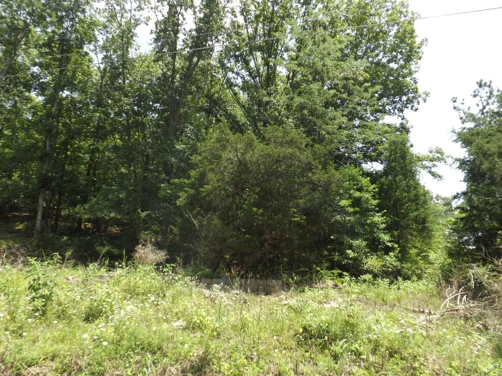0 Torbett Road, Unit 8 AC Spring City, TN 37381 - Photo 1 of 30 DSCF4548 (Medium)