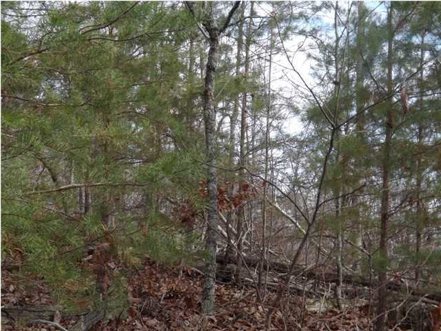 0 Torbett Road, Unit 8 AC Spring City, TN 37381 - Photo 12 of 30 Additional Photo