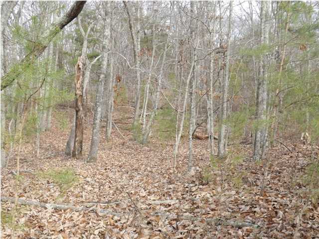 0 Torbett Road, Unit 8 AC Spring City, TN 37381 - Photo 14 of 30 Additional Photo