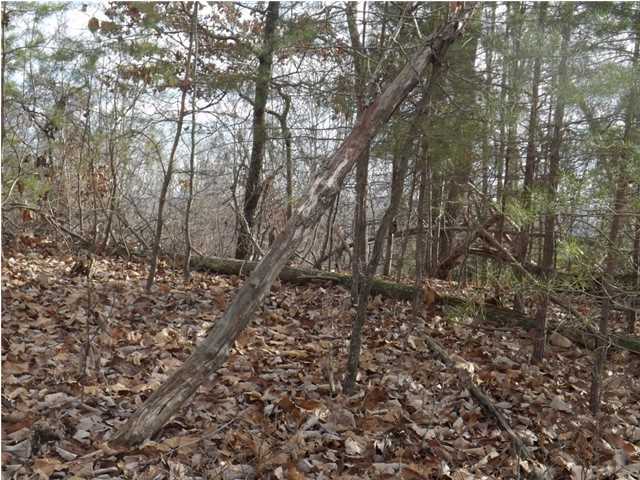 0 Torbett Road, Unit 8 AC Spring City, TN 37381 - Photo 17 of 30 Additional Photo