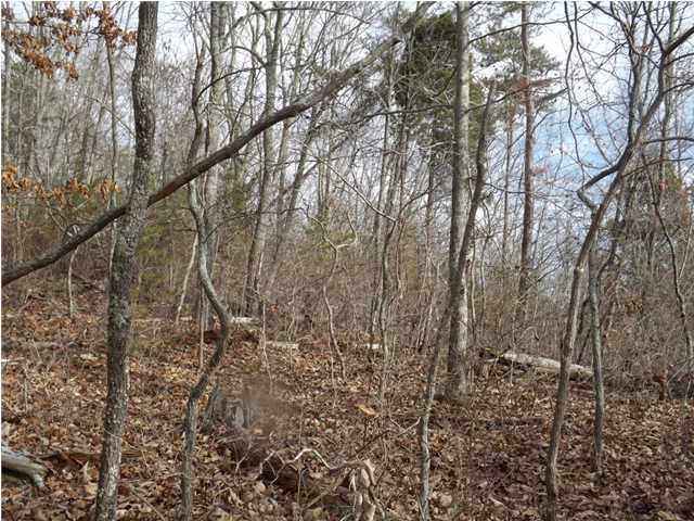 0 Torbett Road, Unit 8 AC Spring City, TN 37381 - Photo 21 of 30 Additional Photo