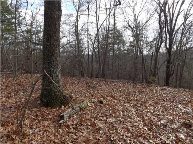0 Torbett Road, Unit 8 AC Spring City, TN 37381 - Photo 23 of 30 Additional Photo