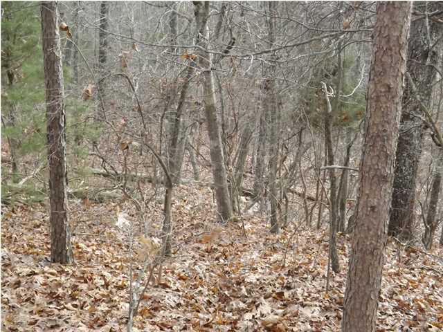 0 Torbett Road, Unit 8 AC Spring City, TN 37381 - Photo 25 of 30 Additional Photo
