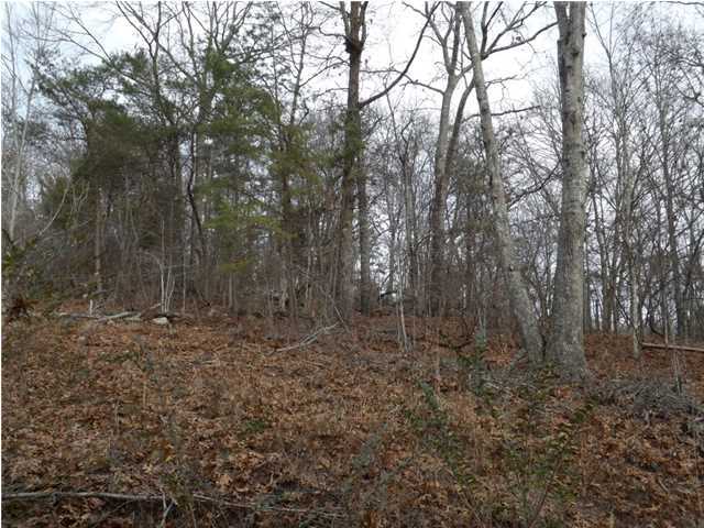 0 Torbett Road, Unit 8 AC Spring City, TN 37381 - Photo 29 of 30 Additional Photo