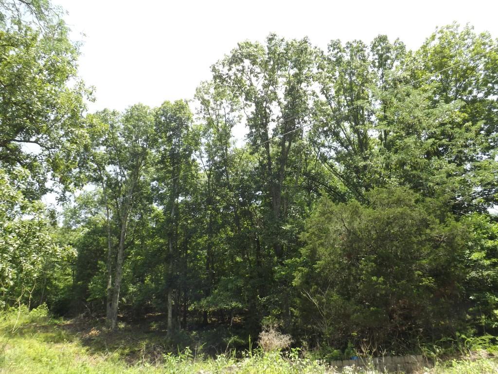 0 Torbett Road, Unit 8 AC Spring City, TN 37381 - Photo 3 of 30 DSCF4550 (Medium)