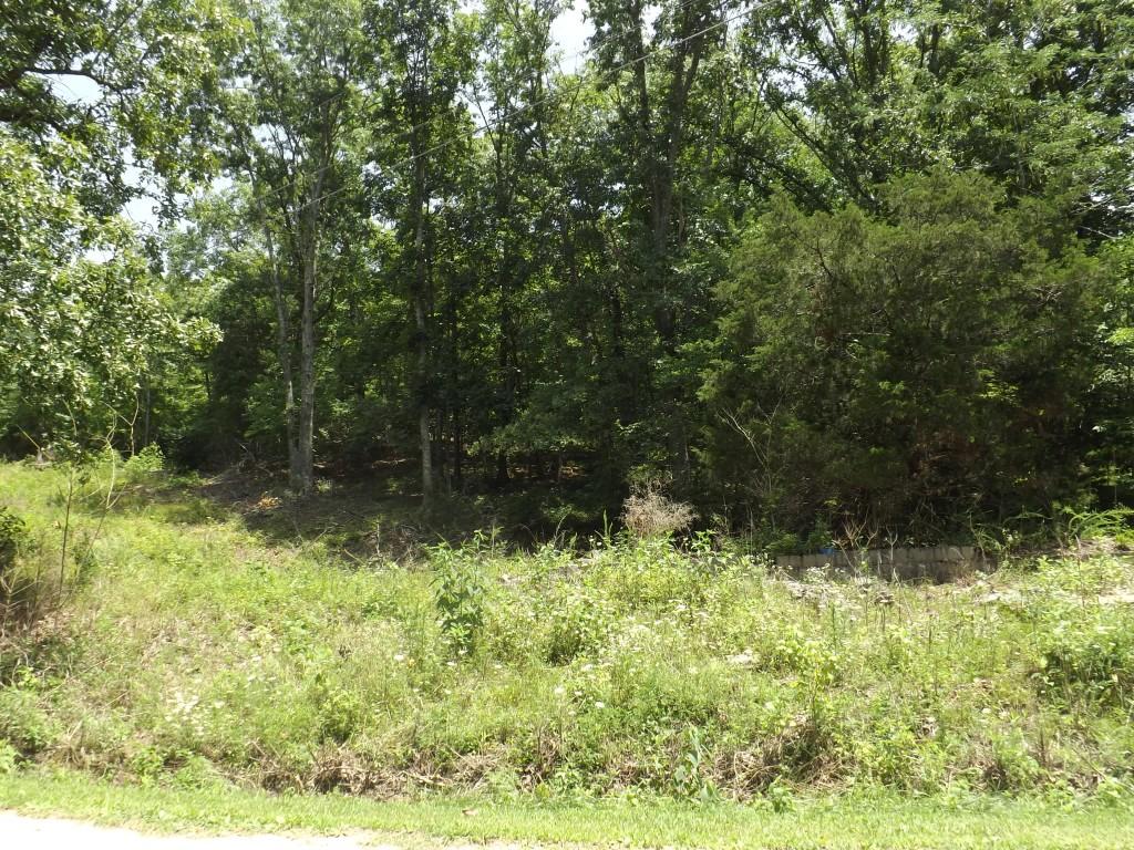 0 Torbett Road, Unit 8 AC Spring City, TN 37381 - Photo 5 of 30 DSCF4546 (Medium)