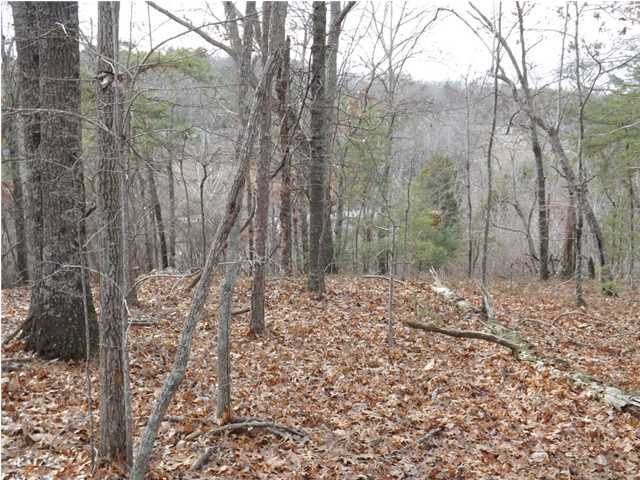 0 Torbett Road, Unit 8 AC Spring City, TN 37381 - Photo 7 of 30 Primary Photo